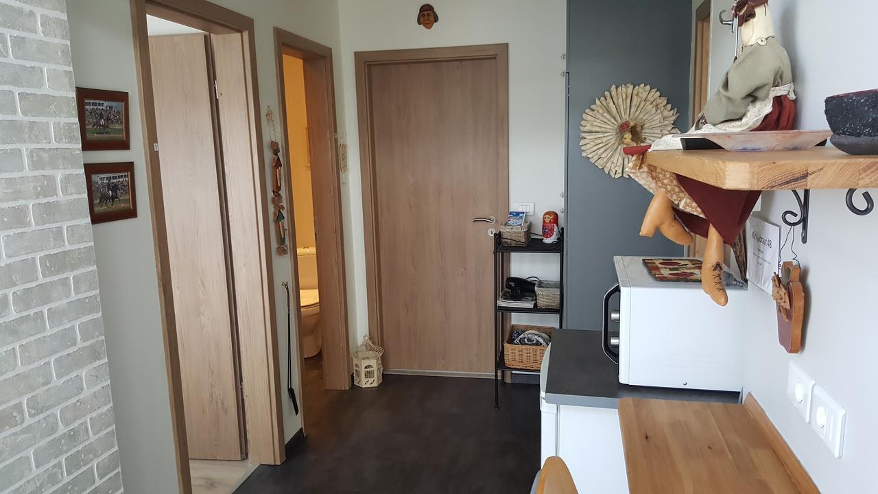 Hvita Husith, Kirkjubraut 48 Apartment Hofn Bagian luar foto
